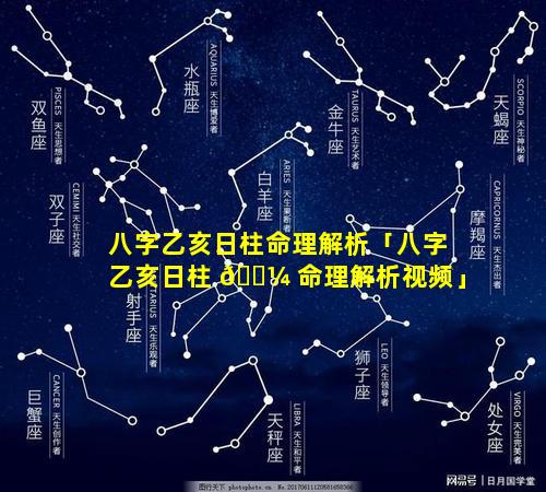 八字乙亥日柱命理解析「八字乙亥日柱 🐼 命理解析视频」